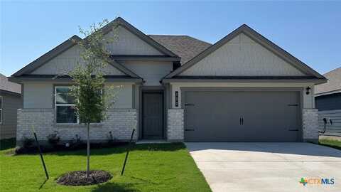 132 Little Green Trail, Jarrell, TX 76537