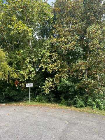 1.51 Ac Brook Run, Halifax, VA 24558