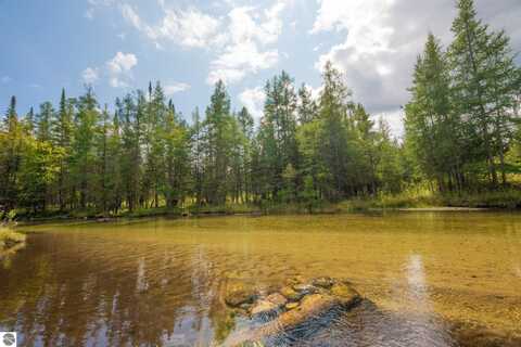 00 Schuss Mountain Road, Mancelona, MI 49659