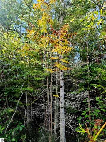 0 State Road, Kalkaska, MI 49646