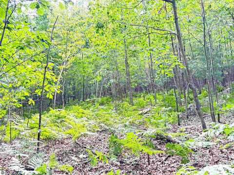 N Leaton Road, Mount Pleasant, MI 48858
