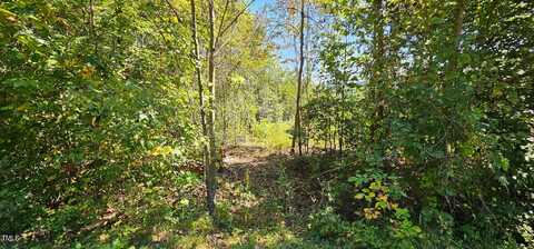 Lot 56 Billings Hill Church Road, Traphill, NC 28685