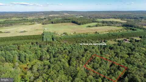 LIMPOPO LANE, MC HENRY, MD 21541