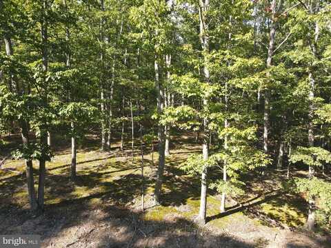 Lot 3 TROUT PASS, MATHIAS, WV 26812