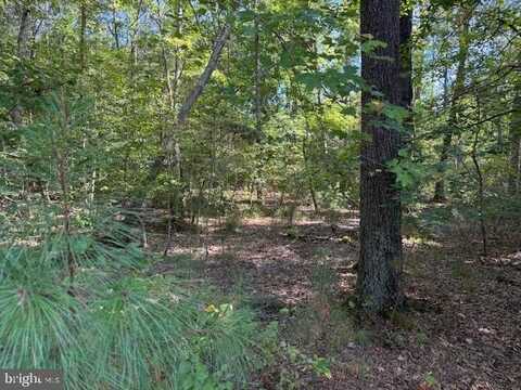 6 STAFFORD COVE, RUTHER GLEN, VA 22546