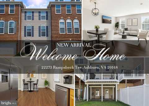 22273 RAMPSBECK TERRACE, ASHBURN, VA 20148