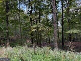 CUBBY HOLE LANE - LOT 25, BERKELEY SPRINGS, WV 25411