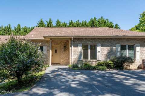 176 South Austin Springs Road, Johnson City, TN 37601
