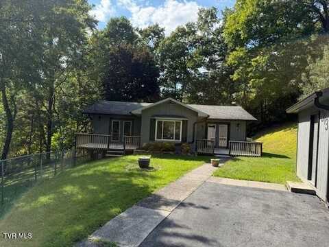 313 Rich Hollow Road, Erwin, TN 37650