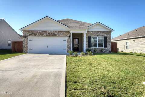 1169 Ridge Parke, Kingsport, TN 37663