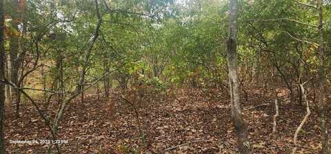 Id028 Dogwood Dr, HOLLADAY, TN 38341