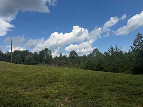 10.96ac Beaver Ln., GAINESBORO, TN 38562