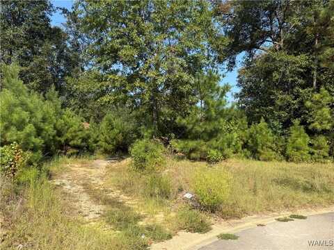2941 Stardust Drive, Tuscaloosa, AL 35405