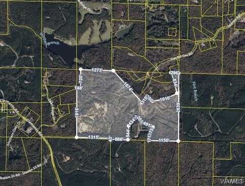 Station 32 Road, Cottondale, AL 35453