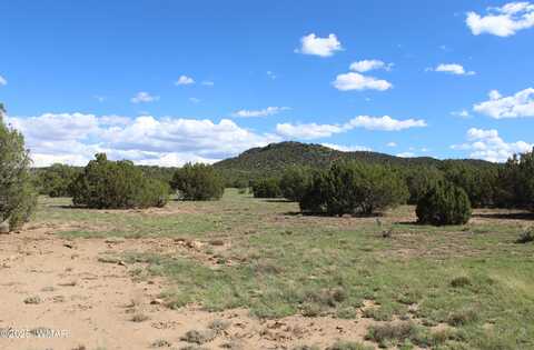 10 Co Rd 3044, Concho, AZ 85924