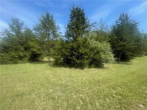 Lot 24 CR 3468, Clarksville, AR 72830
