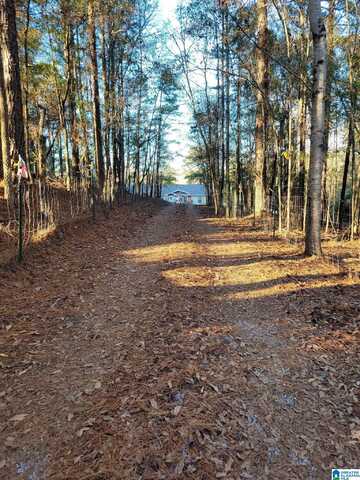 3211 LEE ROAD 375, VALLEY, AL 36854
