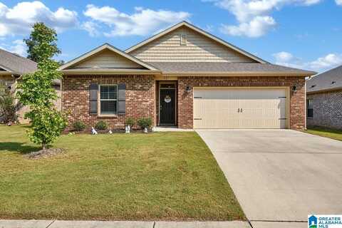 227 ASHLAND DRIVE, HANCEVILLE, AL 35077