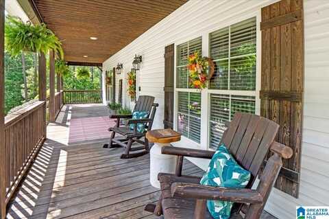 846 RUSTLING ROAD, ODENVILLE, AL 35120