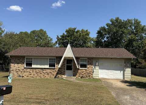 20 Diane Avenue, Ash Flat, AR 72513