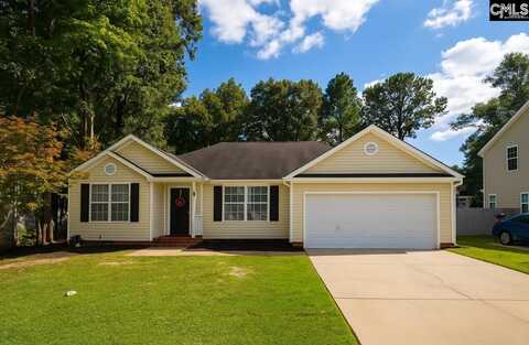 153 Firebridge Drive, Chapin, SC 29036