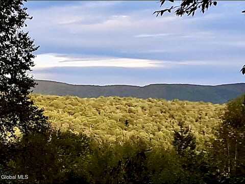 L21.11 Black River Rd (E Of) Road, Stephentown, NY 12169