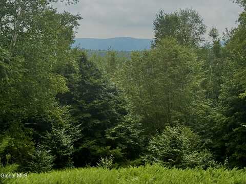 L21.11 Black River Road, Stephentown, NY 12169