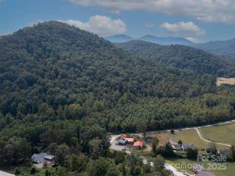 99999 Montford Cove Road, Marion, NC 28752