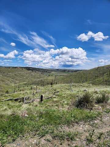 NHN COYOTE (Lot 201) Pass, Columbus, MT 59019