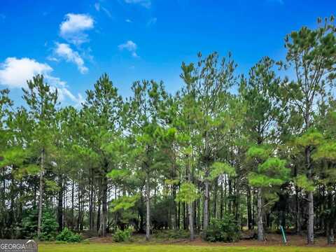 0 Sydney Trace, Waverly, GA 31565