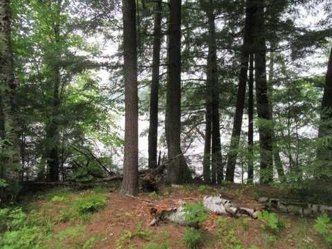On ARBOR LN, Lac du Flambeau, WI 54538