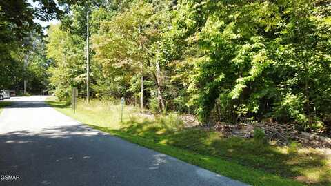 Saddle Brook Way lot: 6, Sevierville, TN 37862