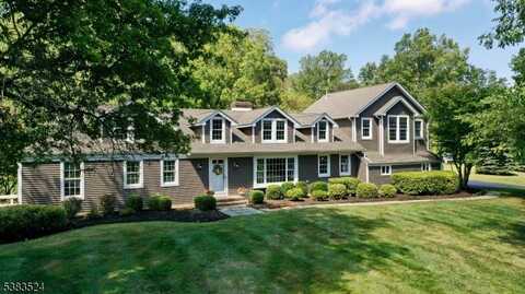 13 Twin Brooks Trl, Chester, NJ 07930