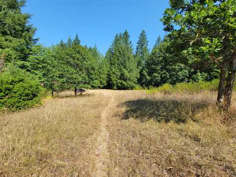 6697 Briceland Road, Redway, CA 95560