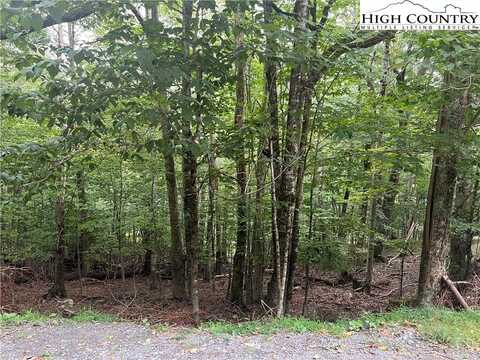 117 Lower Grouse Ridge Road, Beech Mountain, NC 28604
