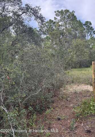 . Scooby Road, Brooksville, FL 34604
