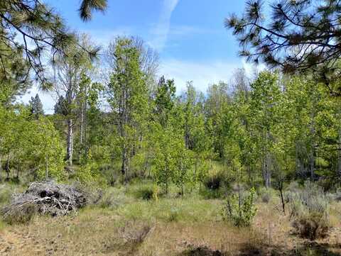 0 Forest View Drive, Chiloquin, OR 97624