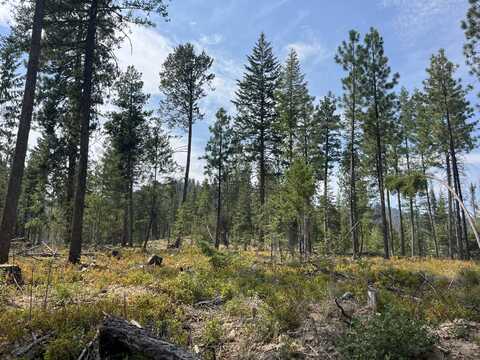 USFS 112, Fox, OR 97845