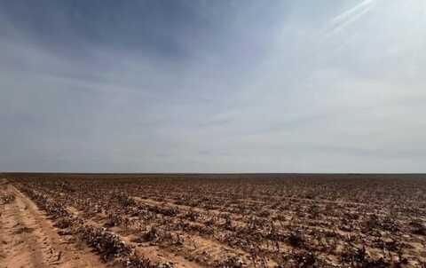 1698 Farms, Brownfield, TX 79316