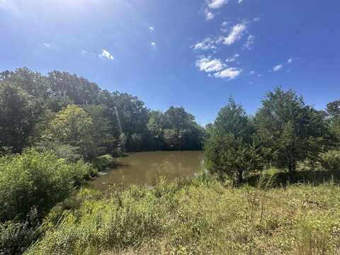 0 MIDDLEBURG, Decaturville, TN 38329