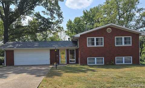 118 Pamela Drive, Belleville, IL 62223