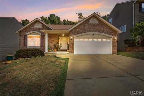 41 San Marino Parkway, Fenton, MO 63026