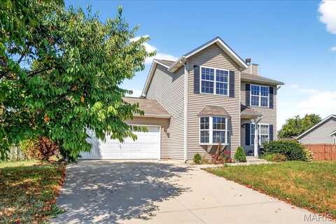 307 Shannon lane, Belleville, IL 62221