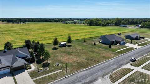 Tbd W Oxford Road, Staunton, IL 62088