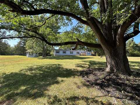 13619 Mount Olive Road, De Soto, MO 63020