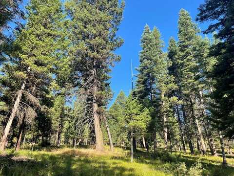 Crowley Lane, McCall, ID 83638
