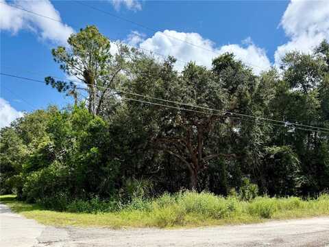 Lot 1 PALM DRIVE, EUSTIS, FL 32736