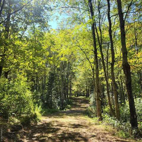 Tbd Stephenson Road, Swan Lake, NY 12720