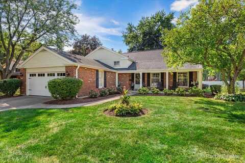 325 Green Valley Drive, Naperville, IL 60540