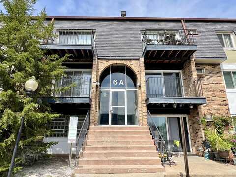 6a DUNDEE QUARTER Drive, Palatine, IL 60074